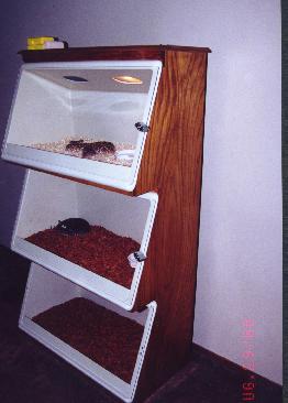 Snake cage rack.JPG [16 Kb]